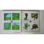 ATLAS OF PLANTS